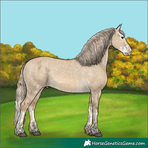 Horse Color:Chocolate Palomino Dun Appaloosa and Chocolate Palomino Dun Splash Appaloosa