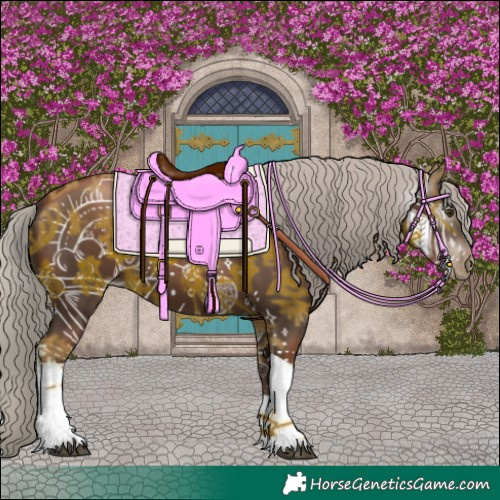 Horse Color:Gray Silver Black Pearl Tobiano 