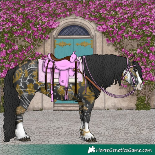 Horse Color:Black Splash 