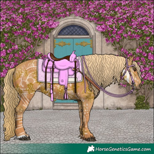 Horse Color:Chestnut  and Chestnut 