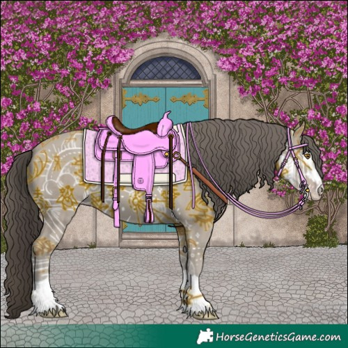 Horse Color:Classic Cream Champagne 