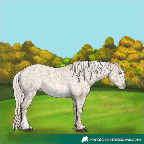 Horse Color:Chocolate Palomino Dun Mushroom Appaloosa  and Chocolate Palomino Dun Frame Appaloosa 
