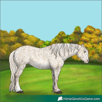Horse Color:Chocolate Palomino Dun Mushroom Snowflake Varnish  and Chocolate Palomino Dun Frame Snowflake Varnish 