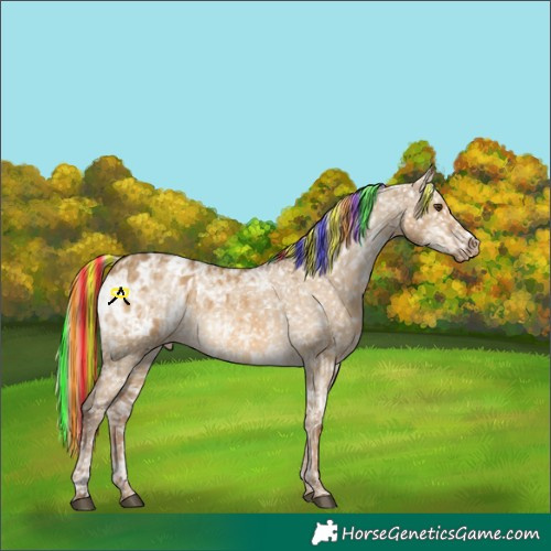 Horse Color:Painted Chocolate Palomino Dun Appaloosa  and Chocolate Palomino Ice Dun Appaloosa 
