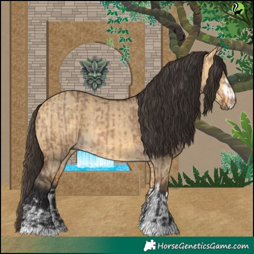 Horse Color:Bay Dun  and Buckskin Dun 