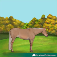 Horse Color:Red Dun 