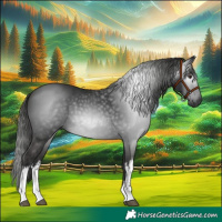 Horse Color:Gray White Spotted Liver Chestnut