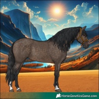 Horse Color:Brown Dun 