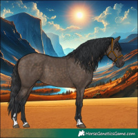 Horse Color:Brown Dun