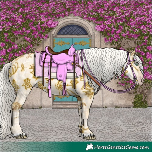 Horse Color:Gold Cream Champagne Dun 