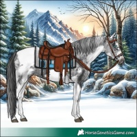 Horse Color:White Spotted Black Splash Tobiano Frame Blanket