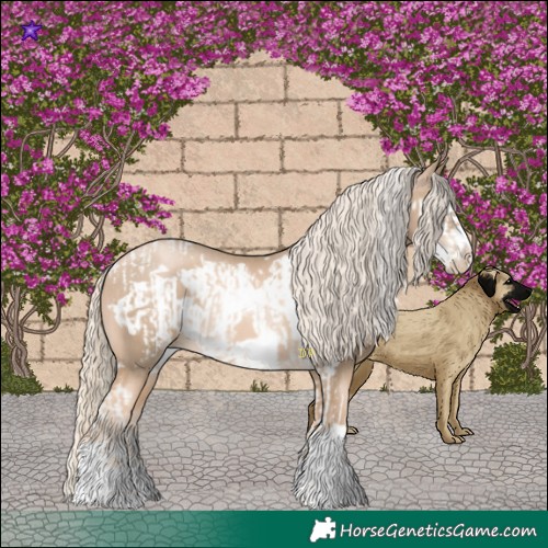Horse Color:Chocolate Palomino Pearl Tobiano Frame  and Chocolate Palomino Pearl Frame 