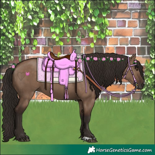 Horse Color:Liver Red Dun 