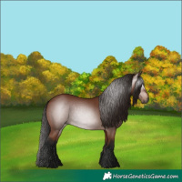 Horse Color:Gray Bay 
