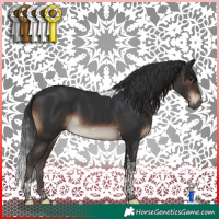 Horse Color:Brown Tobiano