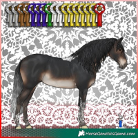 Horse Color:Brown Tobiano