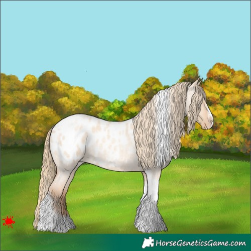 Horse Color:Gold Champagne Roan Dun Splash Tobiano Frame Appaloosa Rabicano 