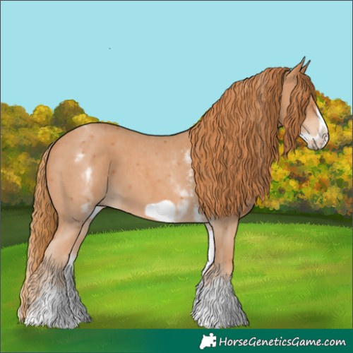 Horse Color:White Spotted Chestnut Sabino Frame