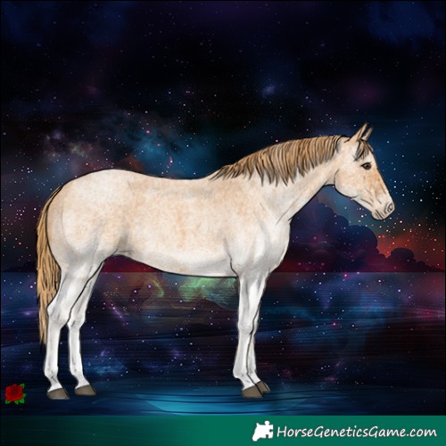Horse Color:White Spotted Red Roan 