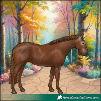 Horse Color:Gray Chestnut 