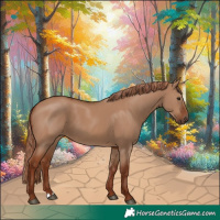 Horse Color:Red Dun 