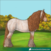 Horse Color:Red Roan 