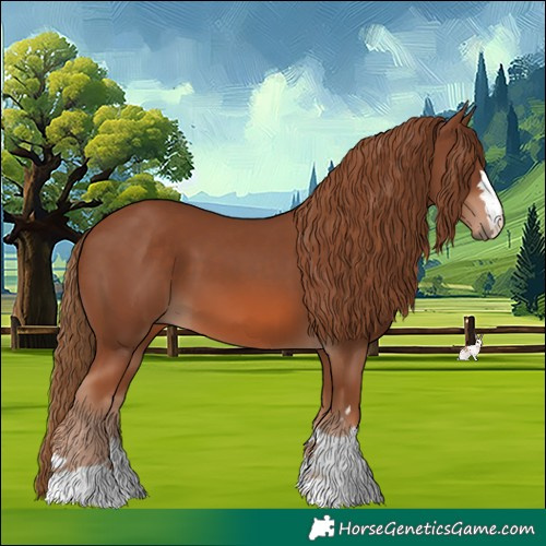 Horse Color:Chestnut 