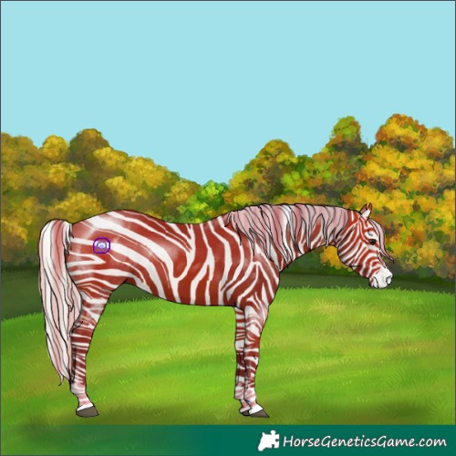 Horse Color:Silver Bay 