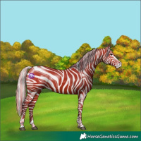 Horse Color:Silver Bay 