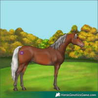 Horse Color:Silver Bay