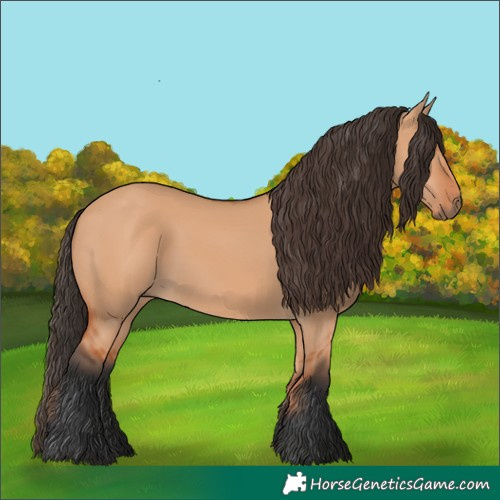 Horse Color:Bay Dun 