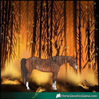 Horse Color:Liver Chestnut Tobiano Rabicano  and Bay 