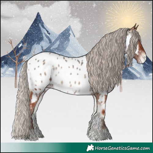 Horse Color:Silver Blue Onyx Appaloosa 