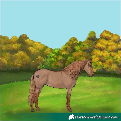 Horse Color:Red Dun 