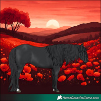 Horse Color:Black 
