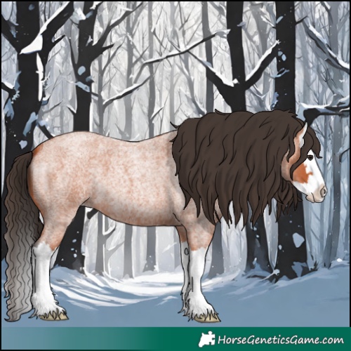 Horse Color:Bay Roan Splash
