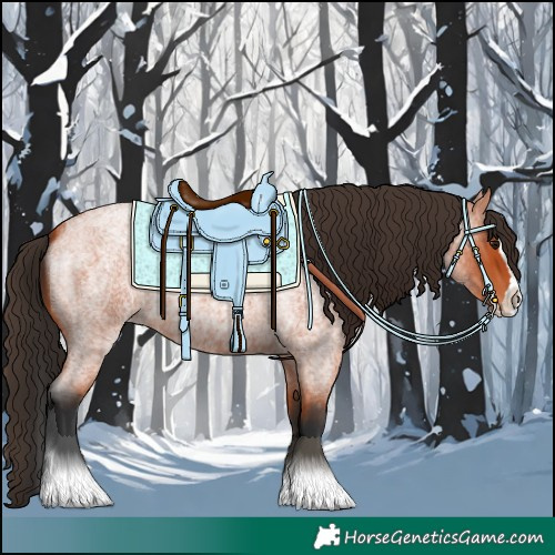 Horse Color:Bay Roan Splash