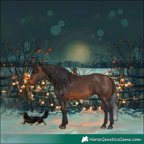 Horse Color:Brown 