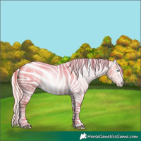 Horse Color:Gray Silver Amber Cream Champagne Roan Dun Splash Tobiano Frame Appaloosa Rabicano 