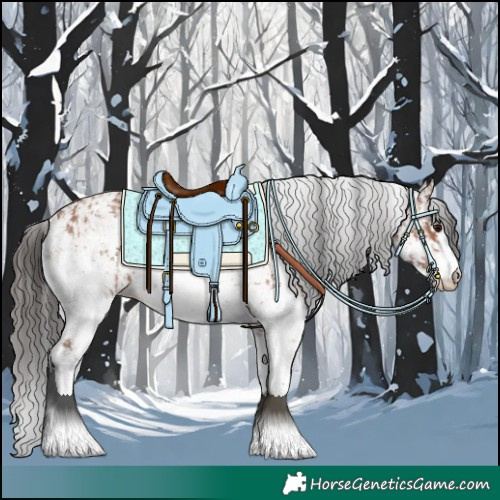 Horse Color:Bay Sabino Rabicano and White Spotted Bay Sabino Rabicano