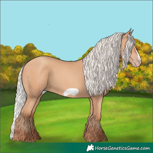 Horse Color:Silver Amber Champagne Frame 