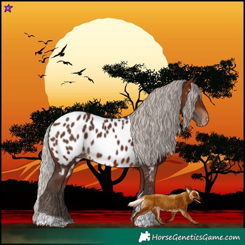 Horse Color:Silver Brown Tobiano Near Leopard 