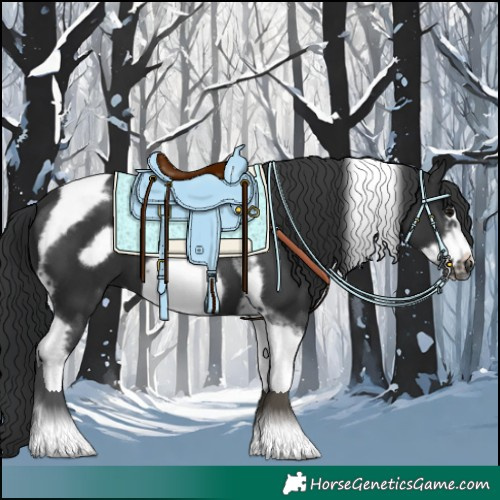 Horse Color:Black Tobiano Frame 