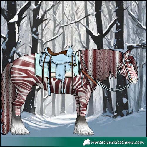 Horse Color:Black Splash 