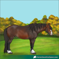 Horse Color:Brown 