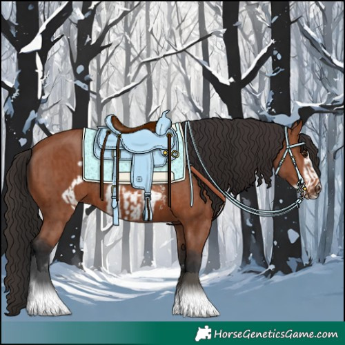 Horse Color:Bay Sabino Rabicano  and Bay Sabino Frame Rabicano 