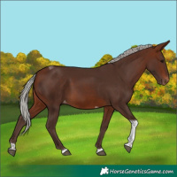 Horse Color:Silver Brown Tobiano Varnish 