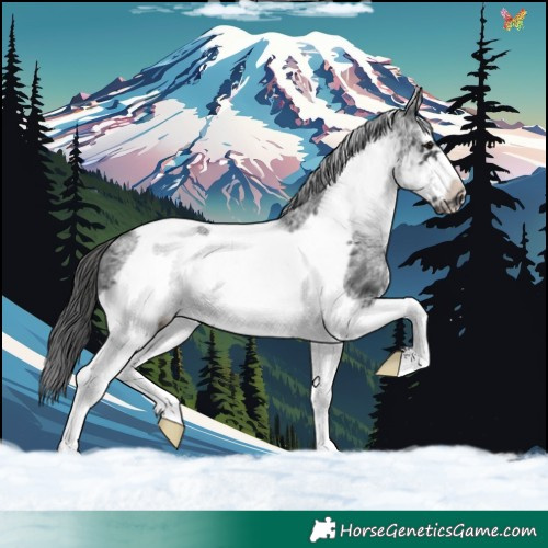 Horse Color:White Spotted Black Splash Tobiano Frame Varnish