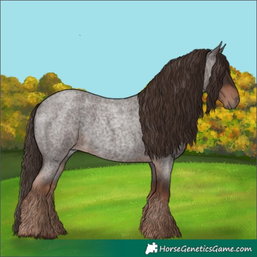 Horse Color:Liver Red Roan 