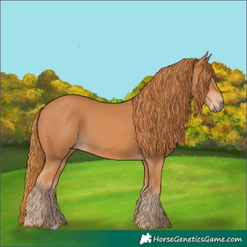 Horse Color:Chestnut 
